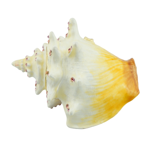 Ivory Conch Shell Trinket Box